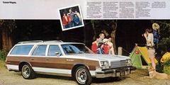 1979 Buick Full Line Prestige-32-33.jpg